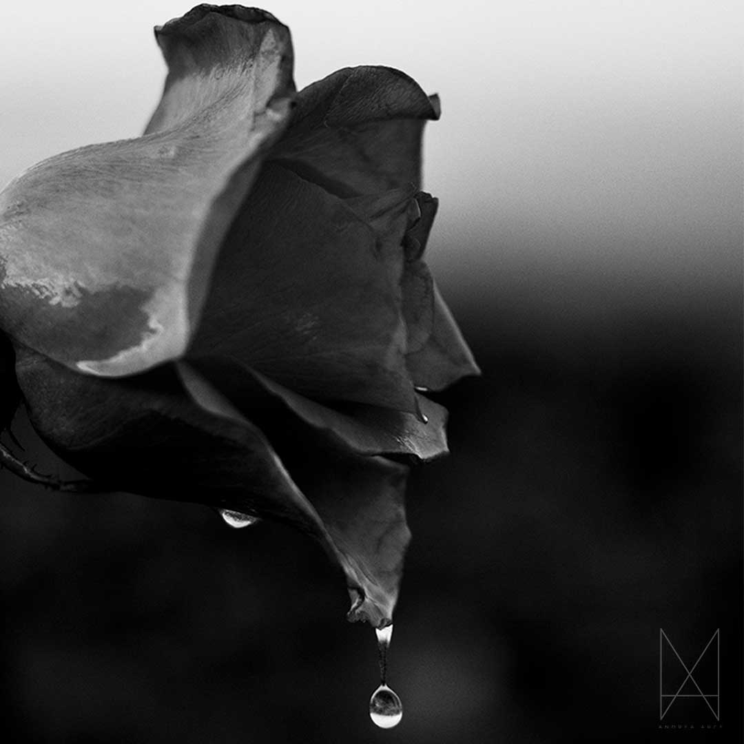 imagen agua delicadeza