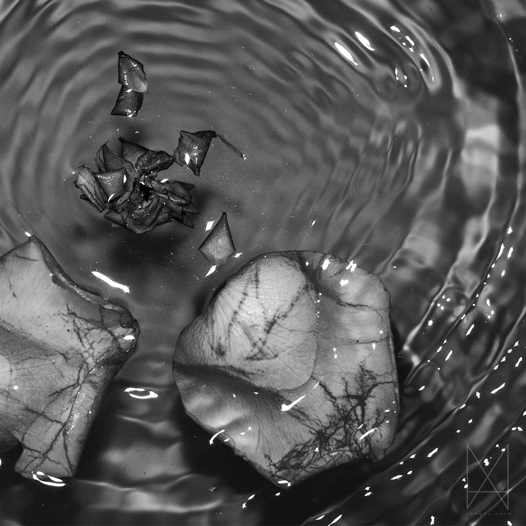 imagen agua tranquilidad